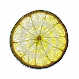 Green lime slice isolated on a white background
