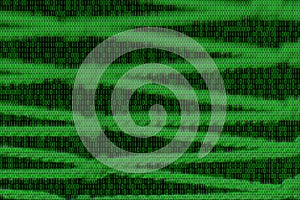 Texture from binary net of digital informations