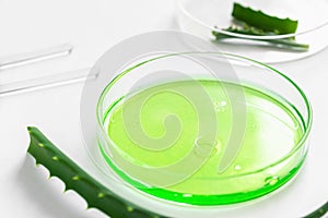 Green liquid in a petri dish. Drop the solution from the pipette. Aloe vera leaf nearby. Cosmetics laboratory