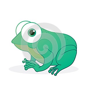 Green little Frog vector illustration