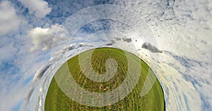 Green little planet revolves among beautiful blue sky with evening clouds. tiny planet transformation with curvature of space.