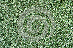 green live background with grass and objects