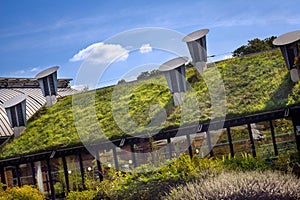 Green Living Roof. Eco Friendly Building