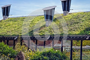 Green Living Roof. Eco Friendly Building photo