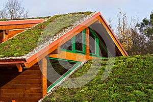 Green living roof on wooden building covered with vegetation
