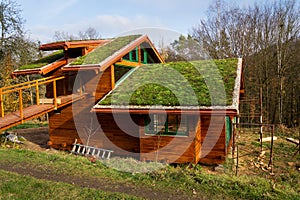 Zelený žijúci strecha na drevený budova pokrytý vegetácie 