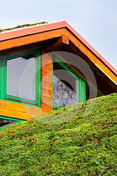 Green living sod roof with grass on wooden building