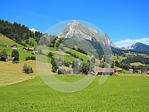 Green living in swiss Alpine landscape