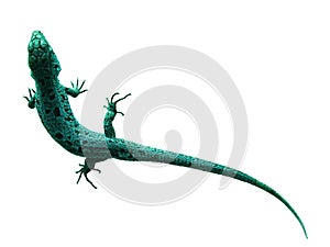 Green Lizard