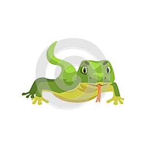 Green lizard, amphibian animal cartoon vector Illustration