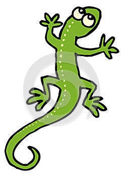 Green lizard with dots