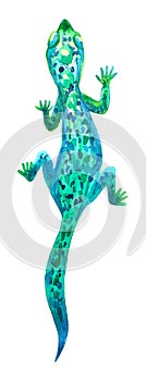 Green lizard. Hand drawn watercolor illustration. Isolated on white background.