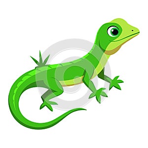 Green lizard isolated on white background. Cartoon style.