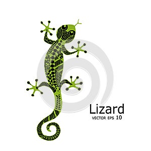 Green lizard sketch, zenart for your design