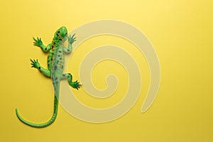 Green lizard toy on bright yellow background. Minimal art concept