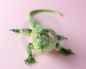 Green lizard toy on pastel pink background. Minimal art concept