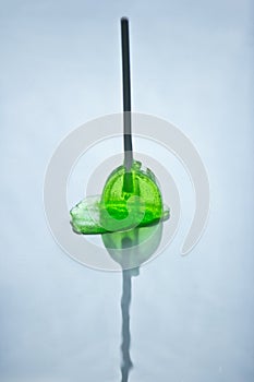 Green lollipop photo