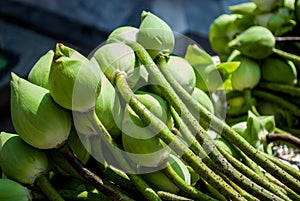 Green Lotus flower