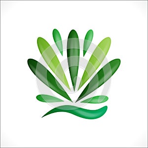 Green lotus flower plant healthy nature logo vector image design