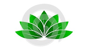 Green lotus - yoga studio logo