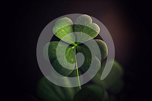green lucky clover leaf for St. Patrick's day.