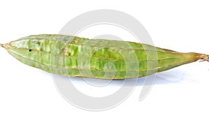 Green Luffa acutangula isolated on white background