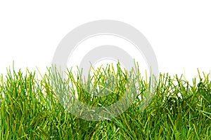 Green lush artificial grass