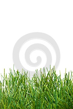 Green lush artificial grass
