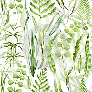 Green lush grass, fern leaves seamless pattern. Watercolor illustration. Hand drawn forest nature decor. Fern, grass