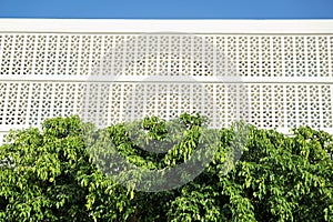 Green lush leaves of trees below the building with masonry screen wall exterior at Miami, Florida