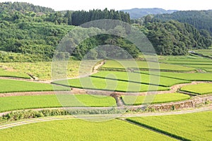 Green and lush terrace rice paddies and fields in Akita prefecture, Tohoku region, northern Japan