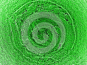 Green macro world texture background