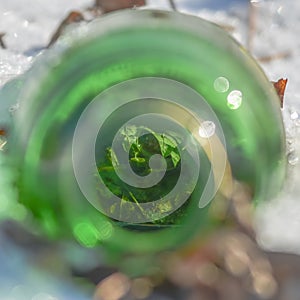 Green malt liquor bottle found littered in the snow around train tracks near the Minnesota Valley National Wildlife Refuge