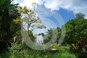 Green management at Fairchild botanical garden