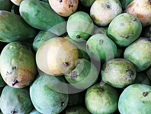 Green mango fruit background. A pile of mangoes from local market.