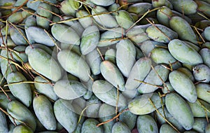 Green mango for sale in the fruit market in Thailand - Fresh raw mango texture background harvest from tree agriculture asian