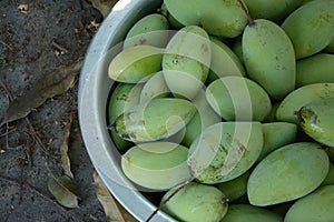 Green mangoes in stell basin