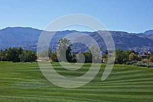 Golf course Palm Desert California