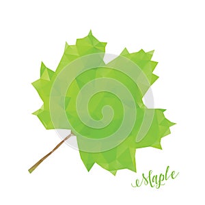 Green maple leaf in low poly style