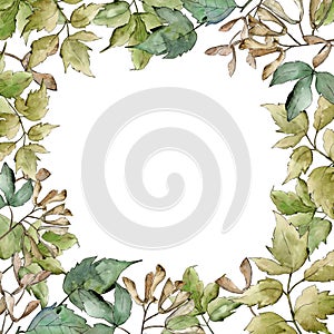 Green maple leaves. Leaf plant botanical garden floral foliage. Frame border ornament square.