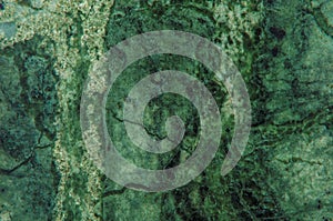 Green Marble Granite Stone slab surface