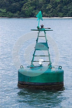 Green Marker Buoy at Sea