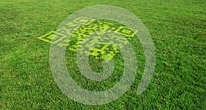 Green Marketing photo