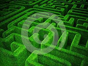 Green maze