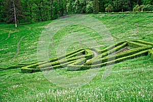 Green maze and Garden stone path with grass growing up between the stones. Detail of a botanical garden