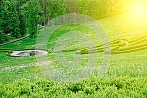 Green maze and Garden stone path with grass growing up between the stones. Detail of a botanical garden