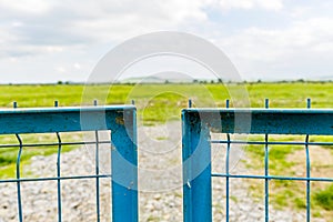 Green meadow and blue fence