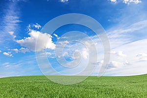 Green meadow and blue sky