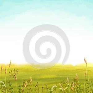 Green meadow and blue sky background