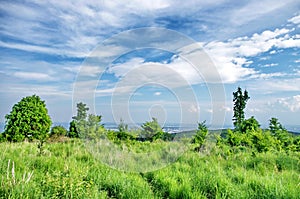 Green meadow with blue sky and clouds beautiful nature. Natural landscape. Enviromental concept.